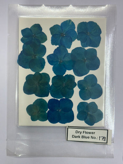 Pressed Dry Flowers- 1 pack – design – 179