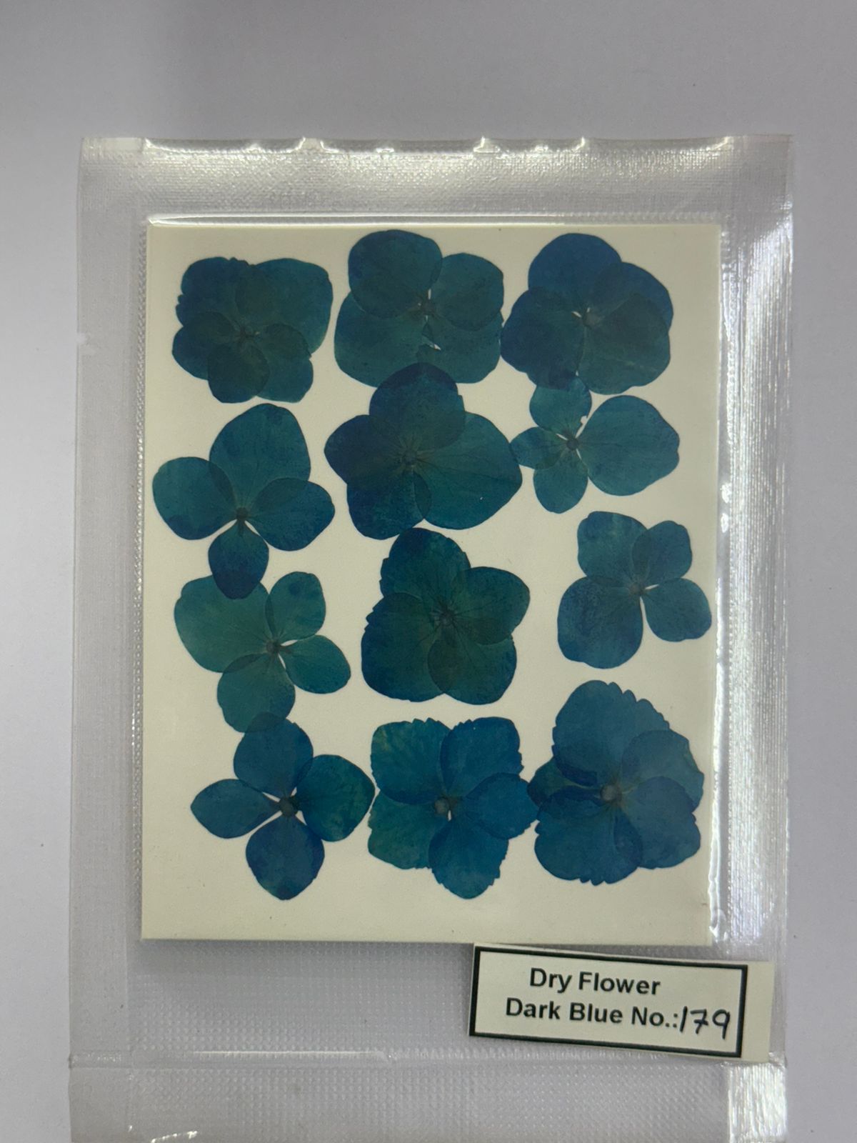 Pressed Dry Flowers- 1 pack – design – 179