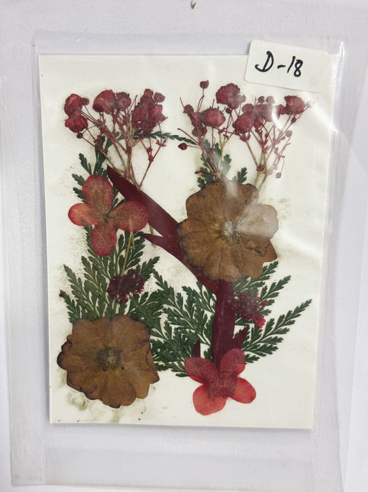 Pressed Dried Flowers- 1 pack Design -18