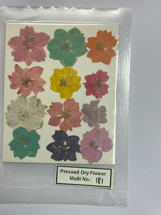 Pressed Dry Flowers- 1 pack – design – 181