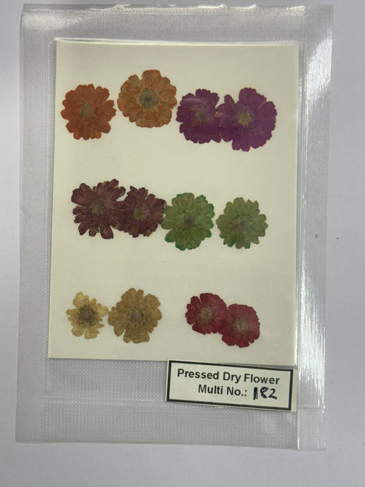 Pressed Dry Flowers- 1 pack – design – 182