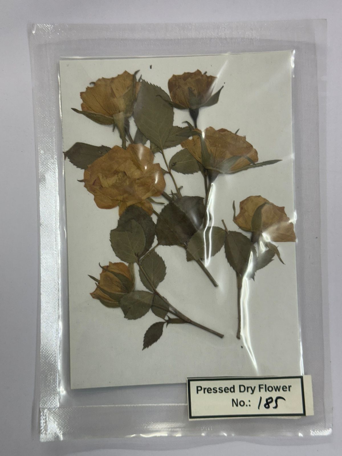 Pressed Dry Flowers- 1 pack – design – 185