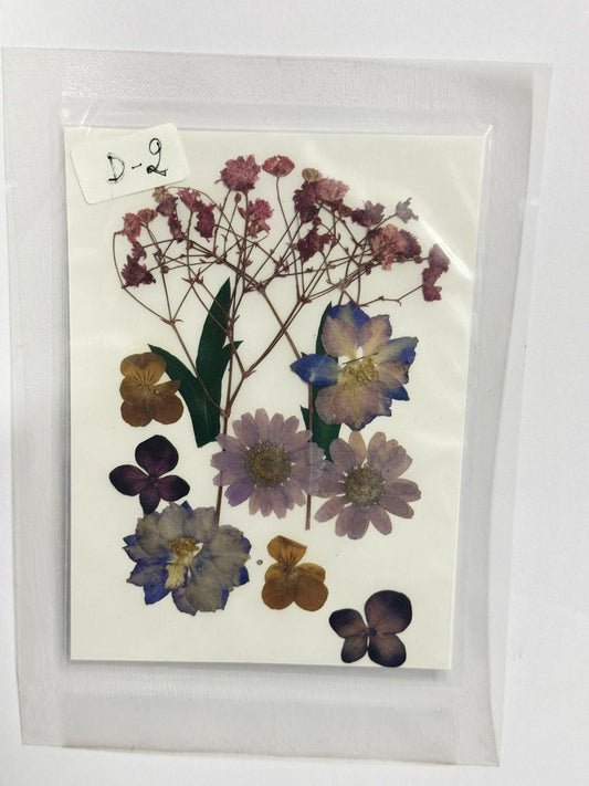 Pressed Dried Flowers- 1 pack Design -2