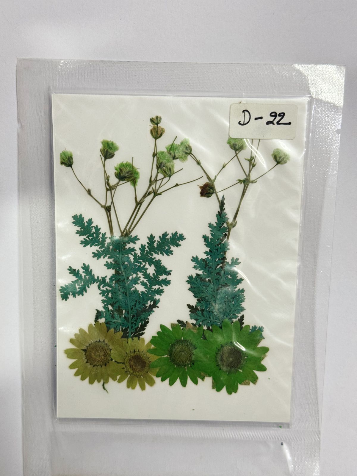 Pressed Dried Flowers- 1 pack Design -22