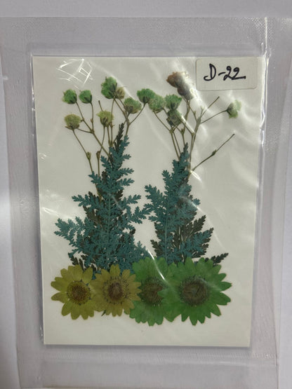 Pressed Dried Flowers- 1 pack Design -22