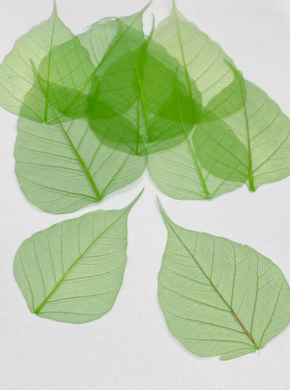 Leaves – 10 pieces- Design – 3