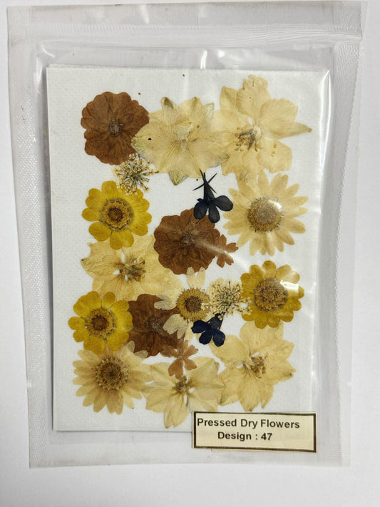 Pressed Dried Flowers- 1 pack Design -47