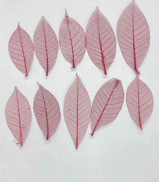 Leaves – 10 pieces- Design – 6
