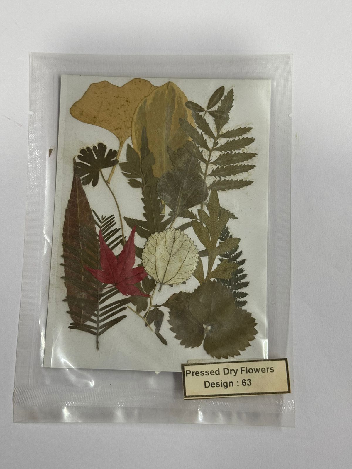 Pressed Dried Flowers- 1 pack Design -63