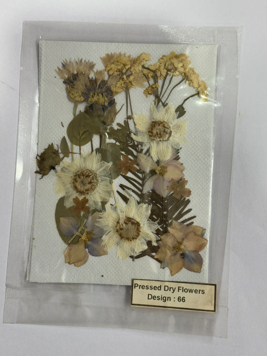 Pressed Dried Flowers- 1 pack Design -66