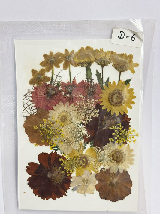 Pressed Dried Flowers- 1 pack Design -6