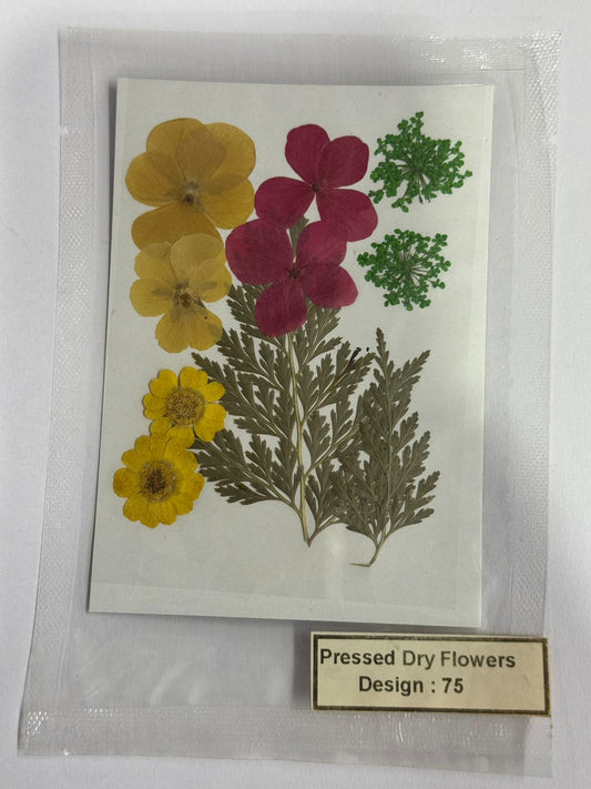 Pressed Dried Flowers- 1 pack Design -75