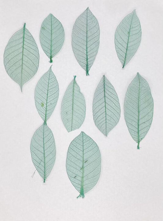 Leaves – 10 pieces- Design – 8