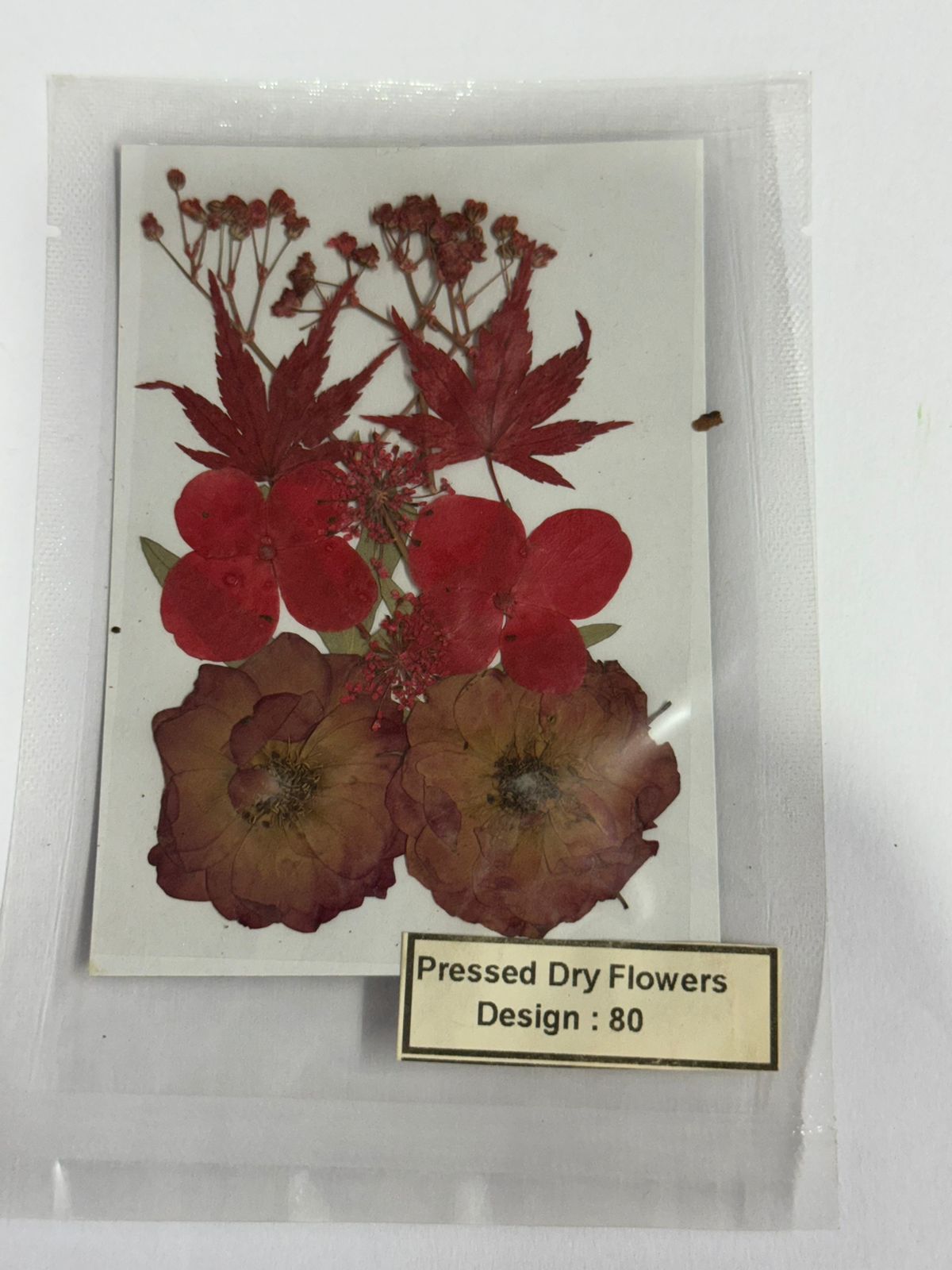 Pressed Dried Flowers- 1 pack Design -80