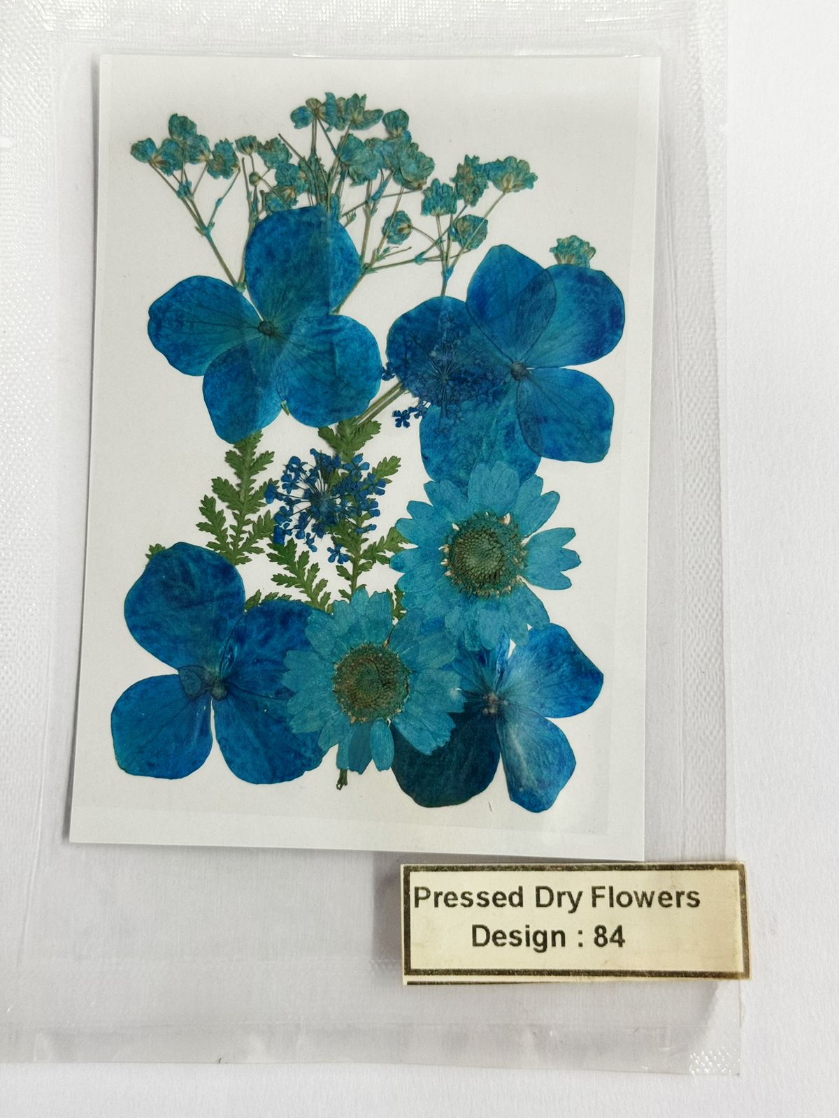 Pressed Dried Flowers- 1 pack Design -84