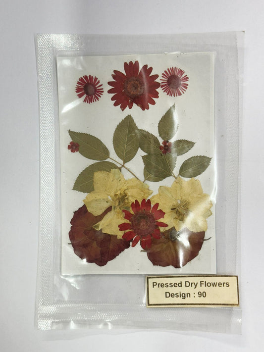 Pressed Dried Flowers- 1 pack Design -90