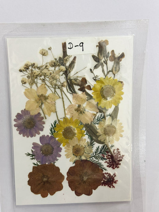 Pressed Dried Flowers- 1 pack Design -9