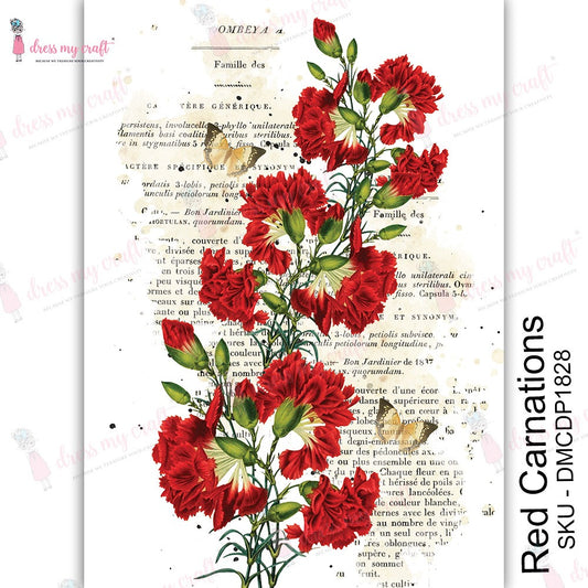 Red Carnations – Transfer Me