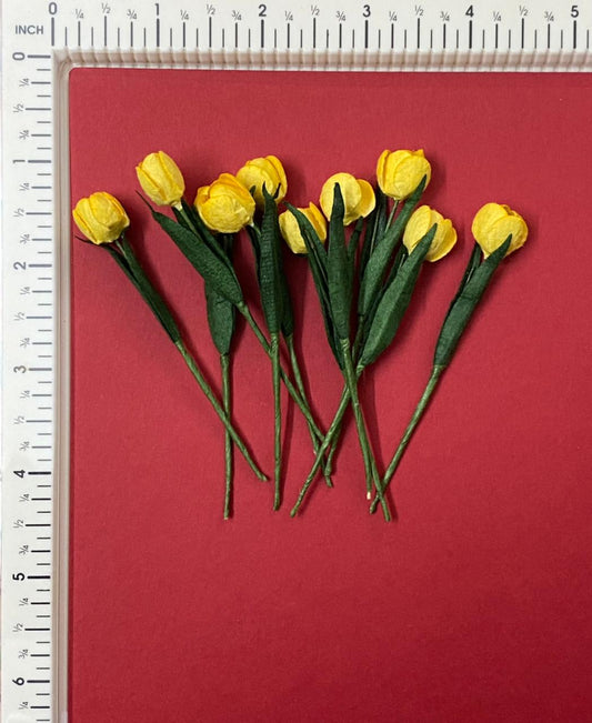 Tulips- 10 Pieces- shade 26