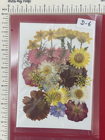 Pressed Dried Flowers- 1 pack Design -6