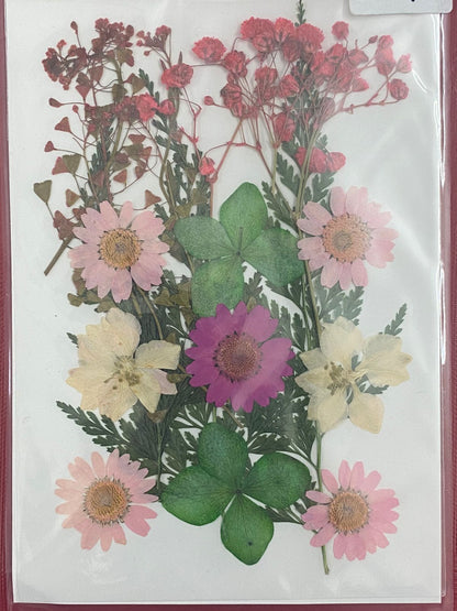 Pressed Dried Flowers- 1 pack Design -11