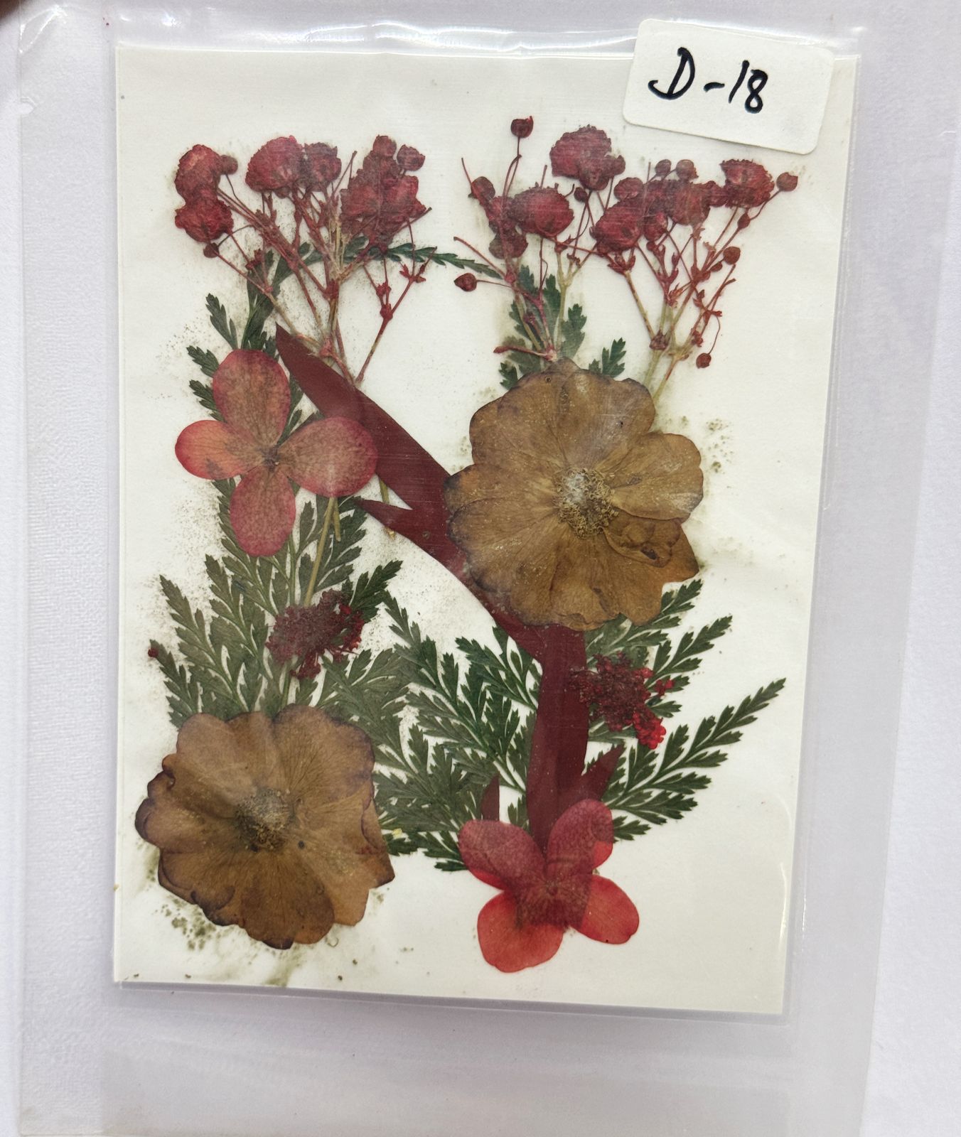 Pressed Dried Flowers- 1 pack Design -18