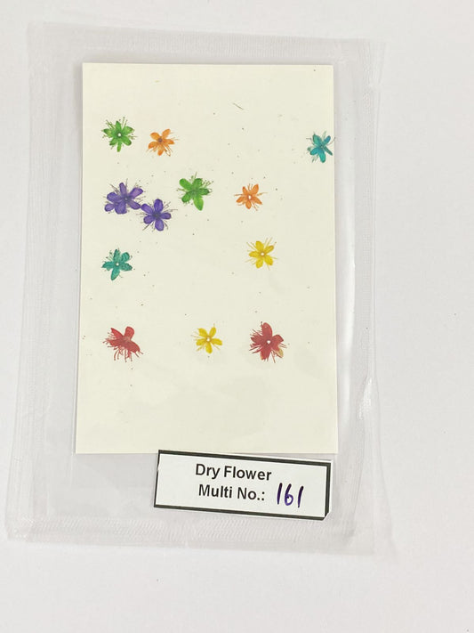 Pressed Dry Flowers- 1 pack – design – 161