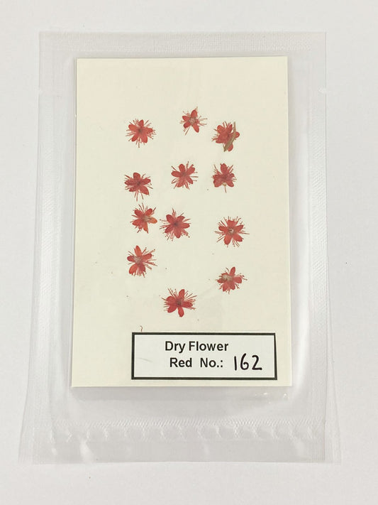 Pressed Dry Flowers- 1 pack – design – 162