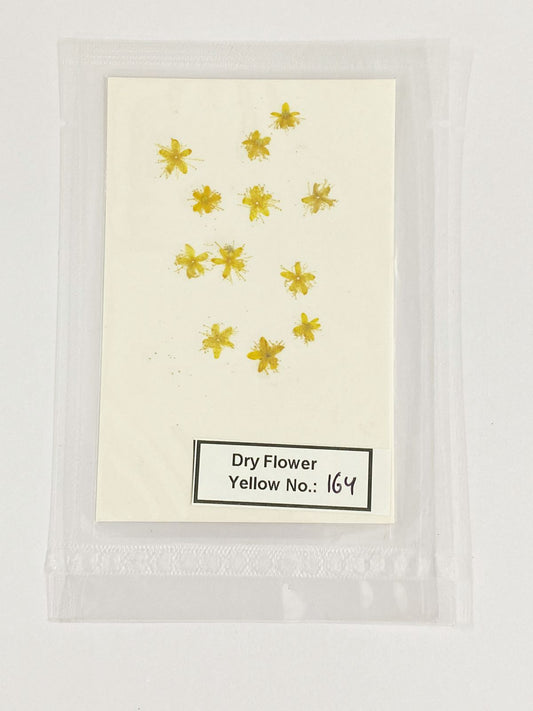 Pressed Dry Flowers- 1 pack – design – 164