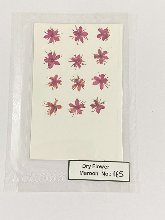 Pressed Dry Flowers- 1 pack – design – 165
