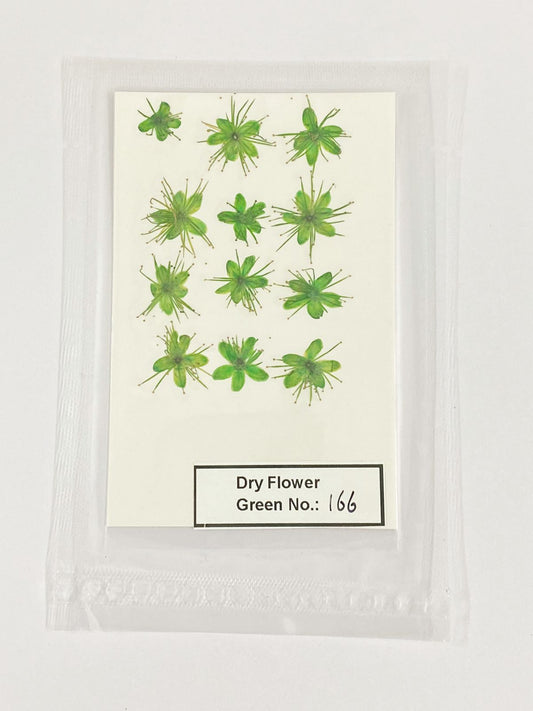 Pressed Dry Flowers- 1 pack – design – 166