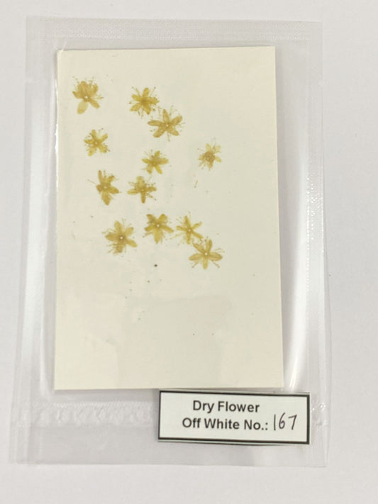 Pressed Dry Flowers- 1 pack – design – 167
