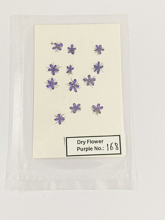 Pressed Dry Flowers- 1 pack – design – 168