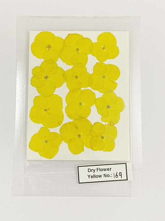Pressed Dry Flowers- 1 pack – design – 169