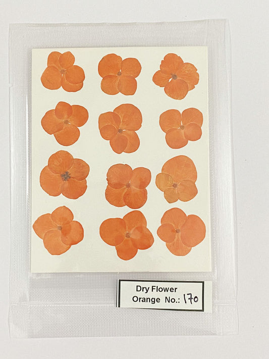 Pressed Dry Flowers- 1 pack – design – 170