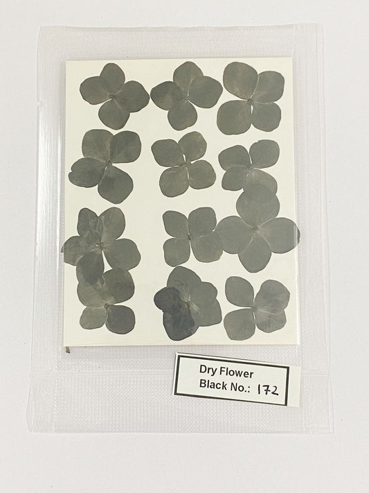 Pressed Dry Flowers- 1 pack – design – 172