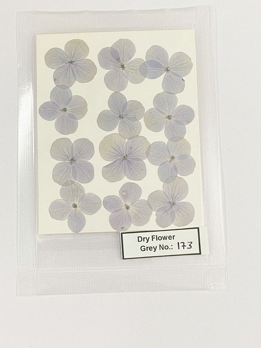 Pressed Dry Flowers- 1 pack – design – 173