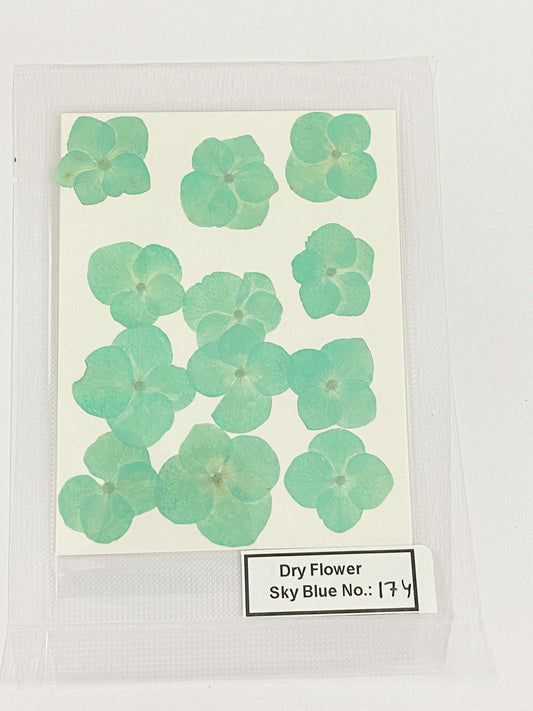 Pressed Dry Flowers- 1 pack – design – 174