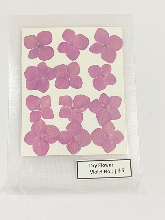 Pressed Dry Flowers- 1 pack – design – 175
