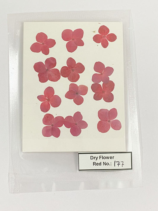 Pressed Dry Flowers- 1 pack – design – 177