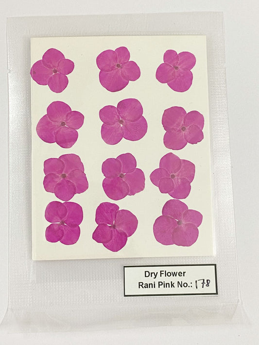 Pressed Dry Flowers- 1 pack – design – 178