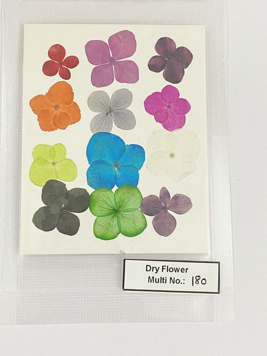 Pressed Dry Flowers- 1 pack – design – 180