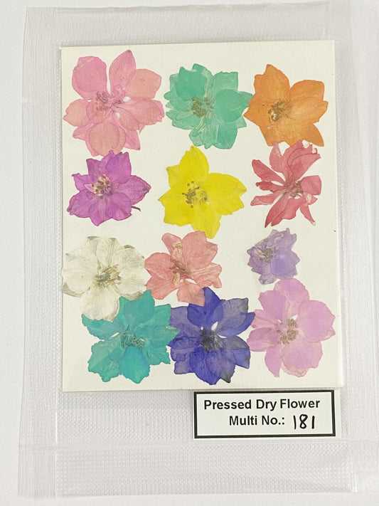 Pressed Dry Flowers- 1 pack – design – 181