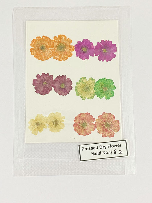 Pressed Dry Flowers- 1 pack – design – 182