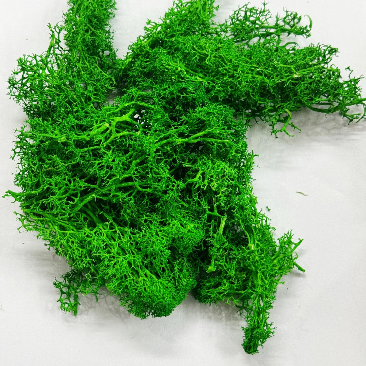 Moss Grass-  Dark Green color - 20 gm